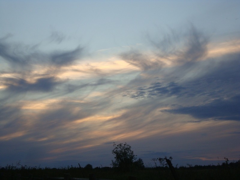 Общее дело. Возрождение деревянных храмов Русского Севера. Итоги года