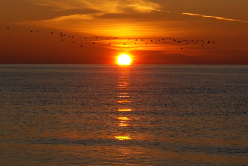Общее дело. Возрождение деревянных храмов Русского Севера. Итоги года