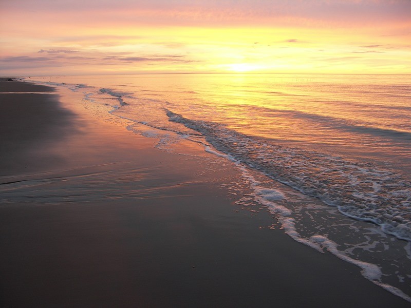 Общее дело. Возрождение деревянных храмов Русского Севера. Итоги года
