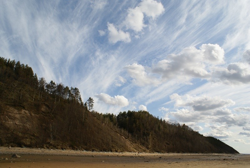 Общее дело. Возрождение деревянных храмов Русского Севера. Итоги года
