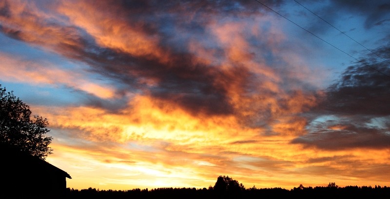 Общее дело. Возрождение деревянных храмов Русского Севера. Итоги года