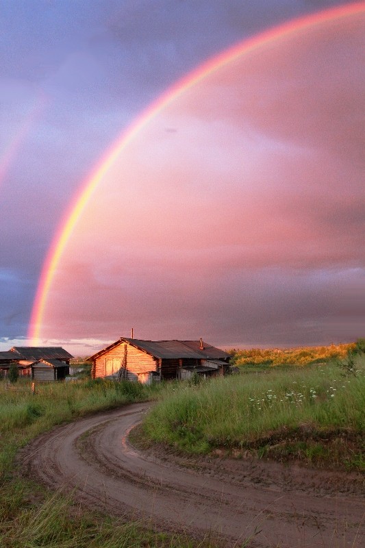 Общее дело. Возрождение деревянных храмов Русского Севера. Итоги года