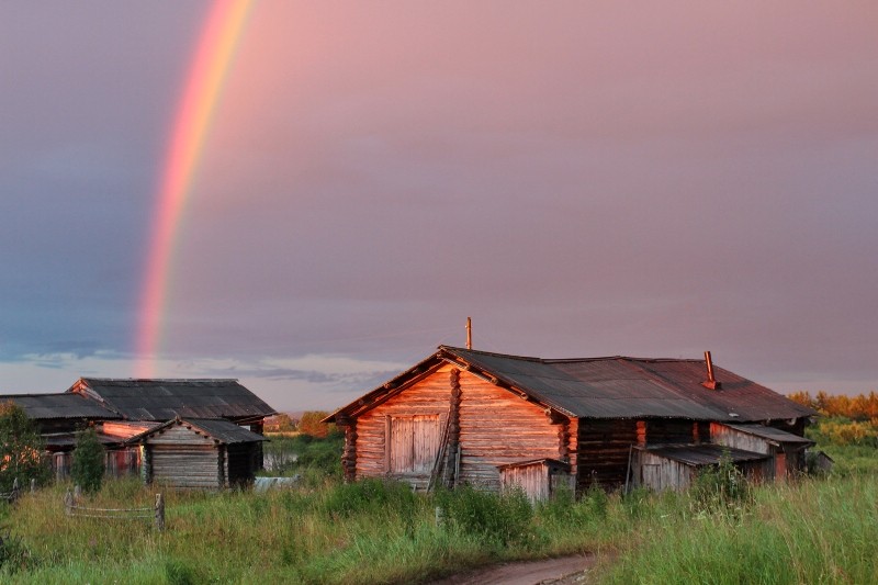 Общее дело. Возрождение деревянных храмов Русского Севера. Итоги года