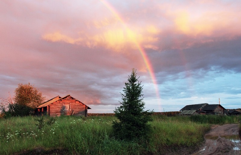 Общее дело. Возрождение деревянных храмов Русского Севера. Итоги года