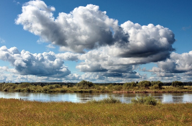 Общее дело. Возрождение деревянных храмов Русского Севера. Итоги года