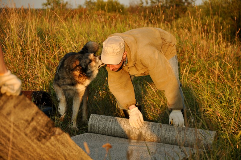 Общее дело. Возрождение деревянных храмов Русского Севера. Итоги года