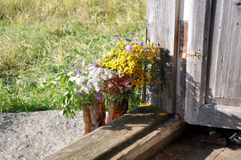 Общее дело. Возрождение деревянных храмов Русского Севера. Итоги года