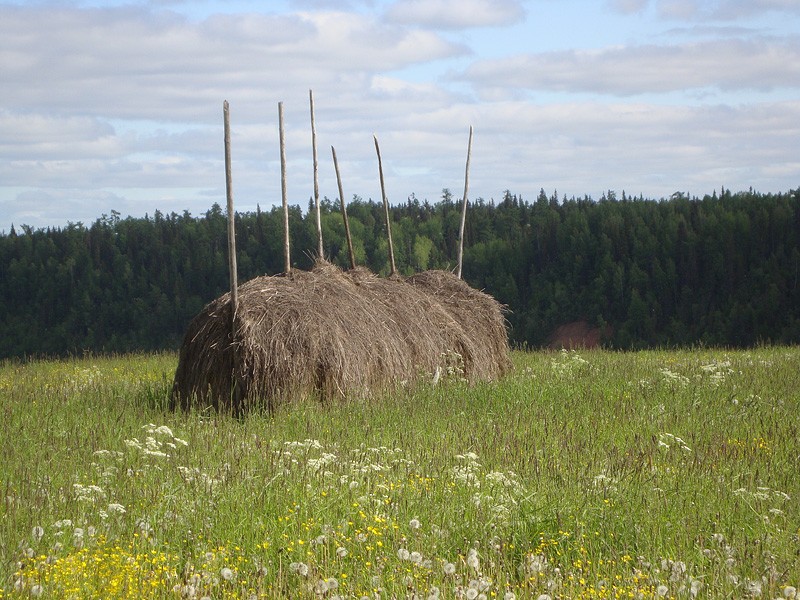 Общее дело. Возрождение деревянных храмов Русского Севера. Итоги года