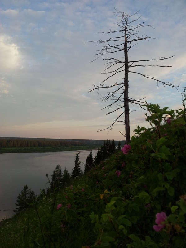 Общее дело. Возрождение деревянных храмов Русского Севера. Итоги года