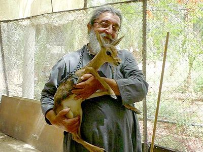 Love is the Crown of All Things. Part 1