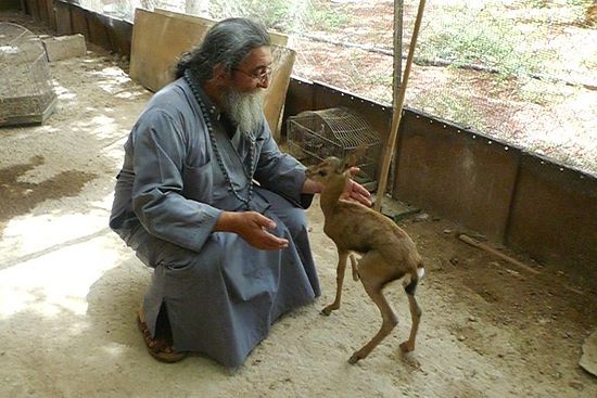 Father Chrysostom and the fawn named Cook.