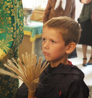 Фото: Андрей Сальников