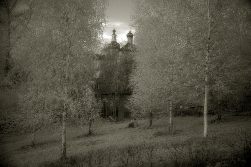 Андреевский мужской монастырь в Пленницах, Воробьевы горы, г. Москва. Фото: Александр Игонин