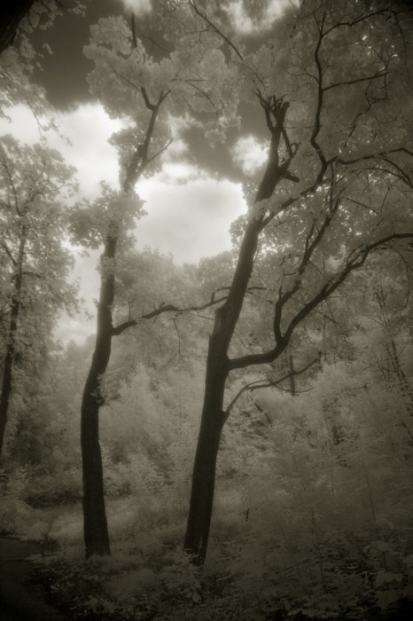 Воробьевы горы, г. Москва. Фото: Александр Игонин