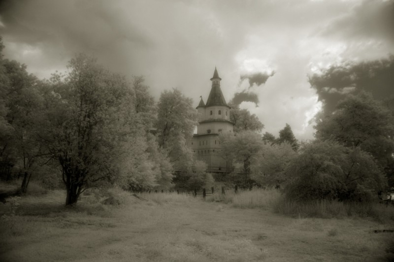 Сад, Ново-Иерусалимский мужской монастырь, г. Истра. Фото: Александр Игонин