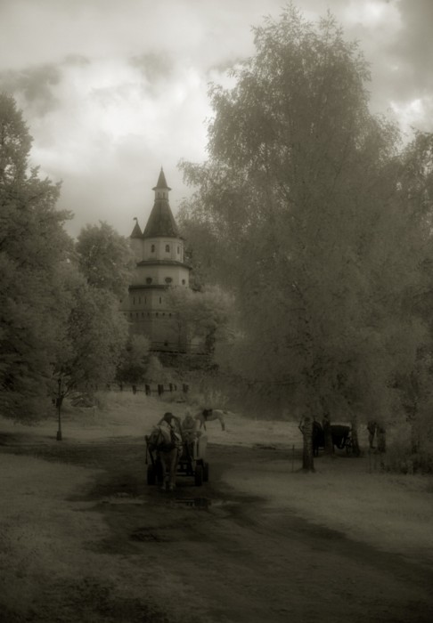 Сад, Ново-Иерусалимский мужской монастырь, г. Истра. Фото: Александр Игонин