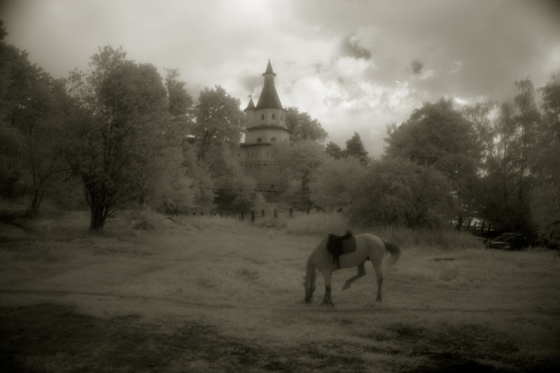 Сад, Ново-Иерусалимский мужской монастырь, г. Истра. Фото: Александр Игонин