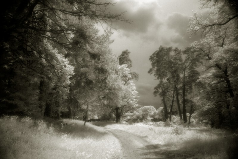 Окрестности мужского монастыря Оптина пустынь близ источника прп. Пафнутия, г. Козельск. Фото: Александр Игонин