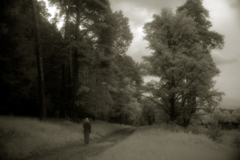 Окрестности мужского монастыря Оптина пустынь близ источника прп. Пафнутия, г. Козельск. Фото: Александр Игонин