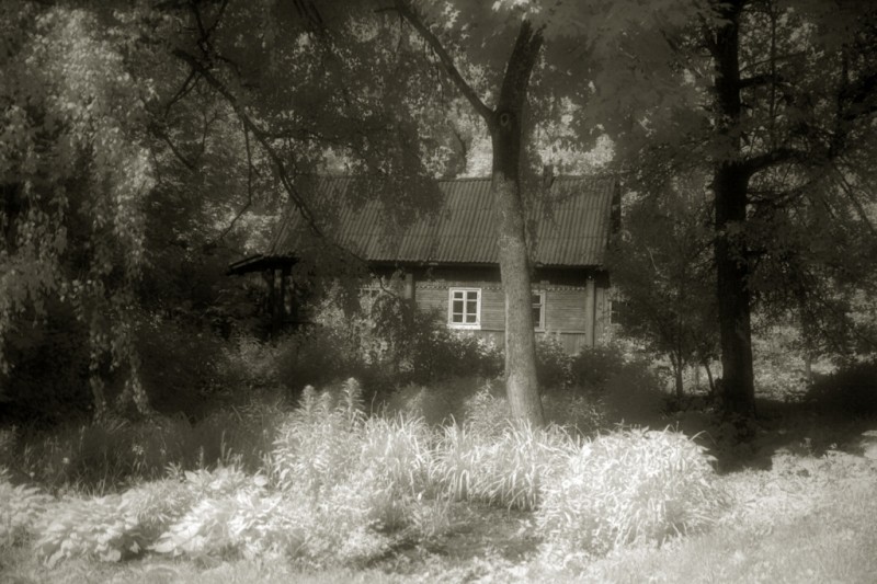 Божий мир сквозь инфракрасный фильтр.  Фото: Александр Игонин