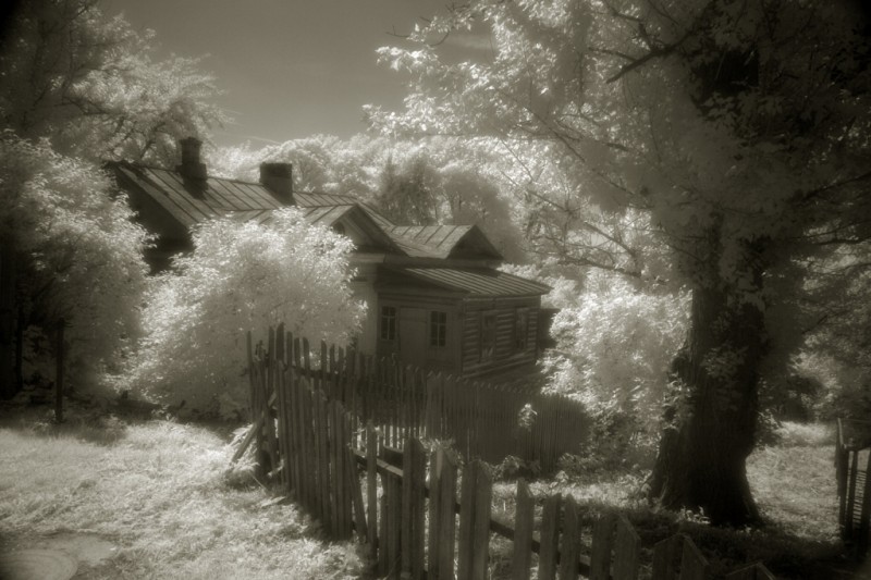 Казанская Амвросиевская женская пустынь, с. Шамордино. Фото: Александр Игонин