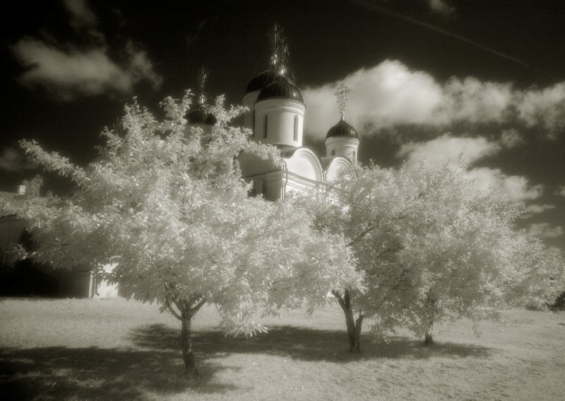 Собор Спаса Преображения, Спасо-Преображенский мужской монастырь, г. Муром. Фото: Александр Игонин