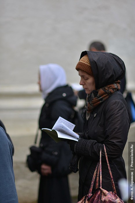 Анатолий Горяинов. Птенцы и паломники гнезда Сергиева.  Фото: Анатолий Горяинов / Православие.Ru