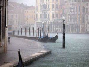Venice. Photo: Vladimir Asmirko