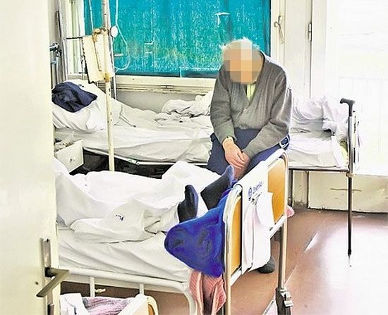 (Фото Д. Јевремовић)