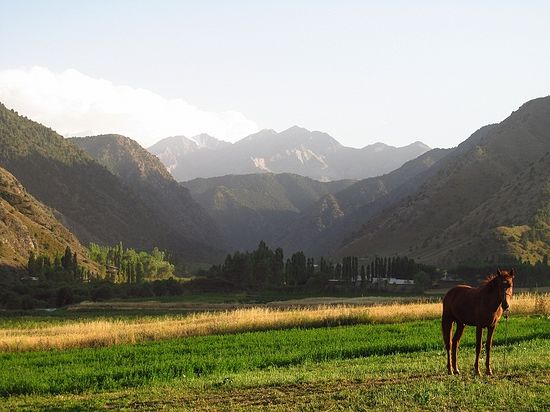 Виды Южного Кыргызстана