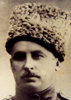 Полковник Н. А. Герцо-Виноградский