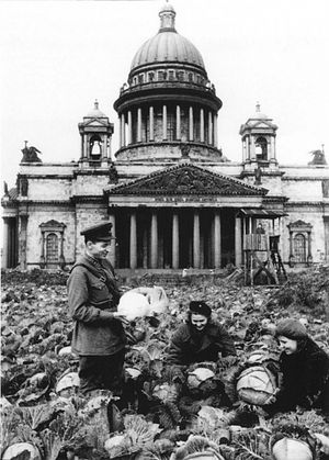 Сбор урожая капусты у Исаакиевского собора в Ленинграде. 1942 год.