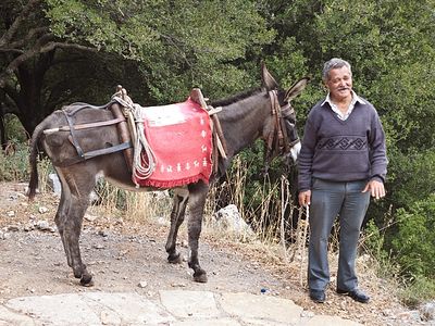 How Simple Peasants Became God-Seers