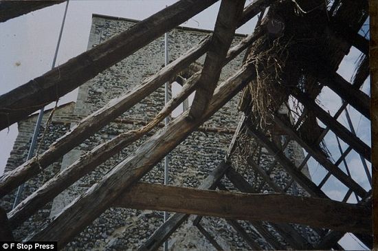 Early days: Two years into the project, in 1994, the church's roof has been cleared of ivy