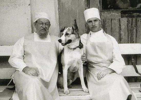 Профессор Преображенский, собака и Борменталь. Кадр со съемочной площадки