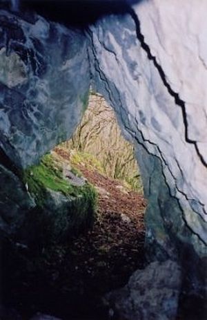 St.Colman's cave, Burren forest