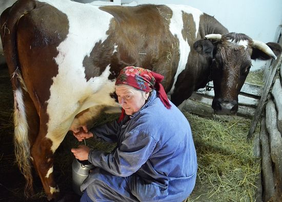 Монастырское хозяйство