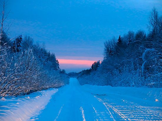 Проселочная дорога, восход солнца. Фото: Алексей Колосов