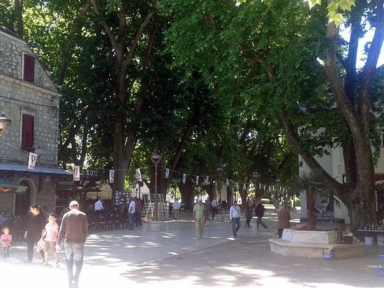 Требиње - Српско удружење "Ћирилица" - промоција ћирилице, фото: СРНА