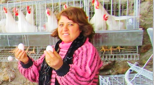 The freshly laid eggs that Rana gathers daily from her hen house not only help to feed her and her ailing mother, but also provide much needed income from egg sales at the farmer’s market in her West Bank village of At-Tayba. IOCC is assisting 200 vulnerable Palestinian women with agricultural support to ease the daily threat of hunger and poverty for these families living in growing isolation. (Photo: George Malki/IOCC)