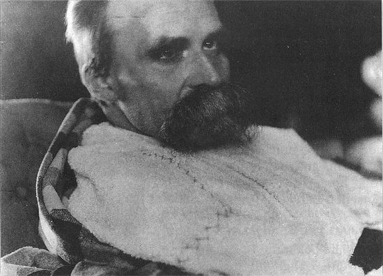 Сошедший с ума Ф.Ницше накануне смерти, 1899 г.