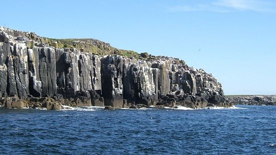 Inner Farne Island.