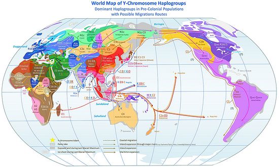 Y-хромосомные гаплогруппы мировой популяции в доколониальный период