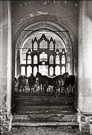 Кони в заброшенном храме, 1960-е гг.