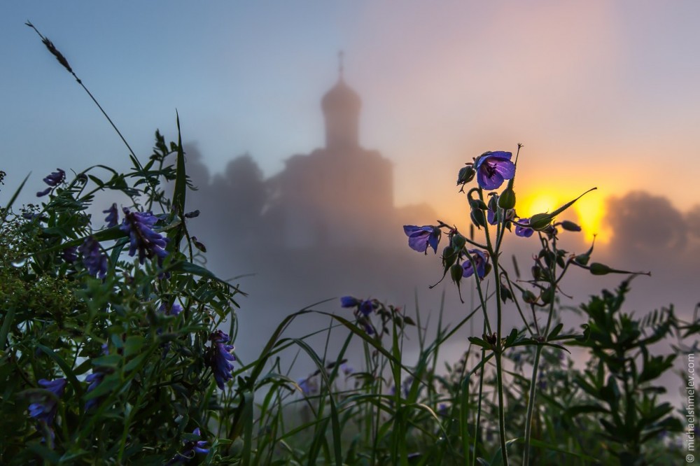 The Church of the Protection on the Nerl River celebrates it 850th anniversary!. Church of the Protection on the Nerl Photo: Mikhail Shmelev | michaelshmelev.com