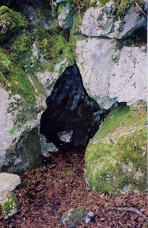 Вход в пещеру святого Колмана в лесу Буррен