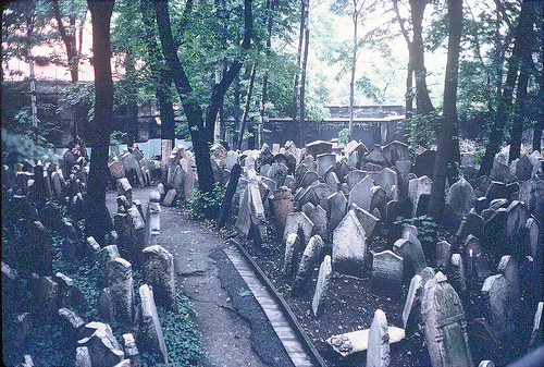 Jewish cemetery in Prague