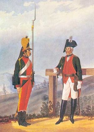 Рядовой и обер-офицер пехотного полка в форме 1786—1796 годов. Русский музей Санкт-Петербург