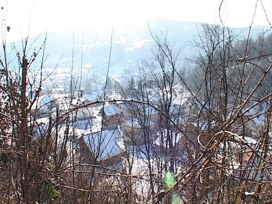 село Кравица