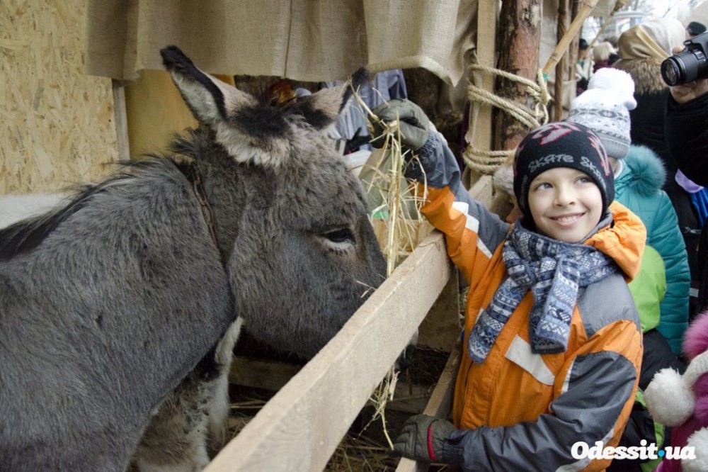 И ослики. Вертеп в Одессе, на Дерибасовской 